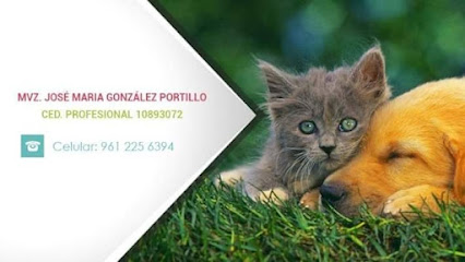 Veterinaria Love Animals