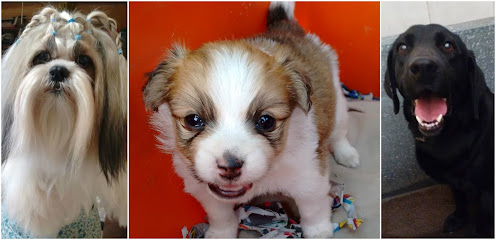 Negocio Veterinaria Magic Pets