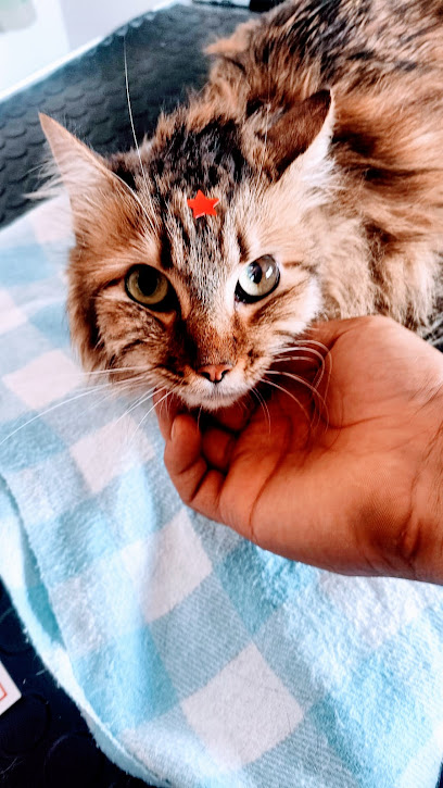 Negocio Veterinaria Marbus