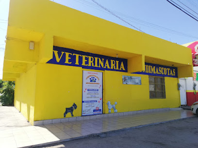 Negocio Veterinaria Mundimascotas
