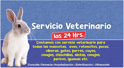 Negocio Veterinaria Murillo
