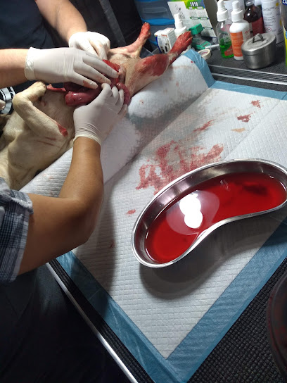 Veterinaria Nam