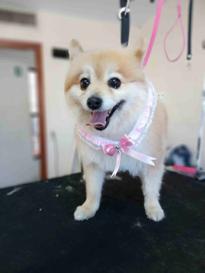 Negocio Veterinaria Nova Pets En Delicias