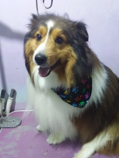 Negocio Veterinaria Peek