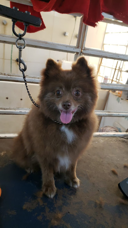 Negocio Veterinaria Pekeñeces