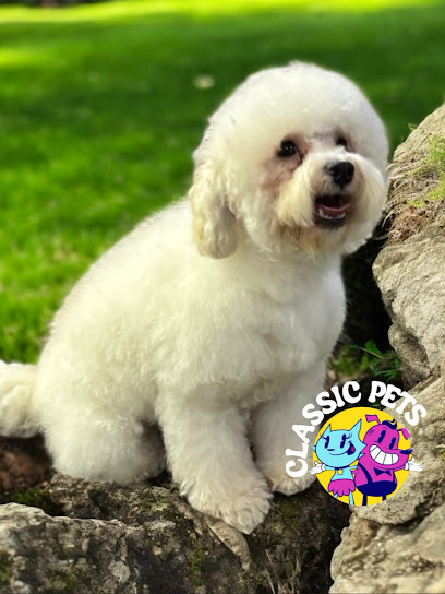 Negocio Veterinaria, Pensión Y Estética Canina Classic Pets