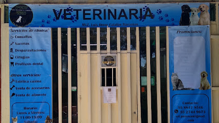 Veterinaria Pony Wan