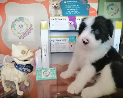 Veterinaria Puppy