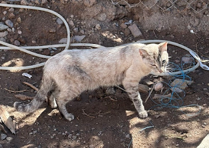 Negocio Veterinaria Queto