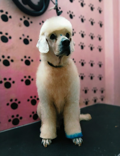 Veterinaria &Quot;Amigos De Cuatro Patas&Quot;