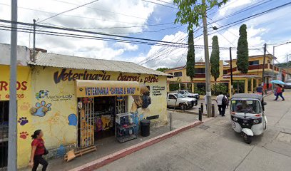Veterinaria &Quot;Garras &Amp; Patas&Quot;