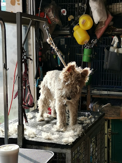 Veterinaria &Quot;Tulyehualco&Quot;