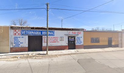 Veterinaria Regina