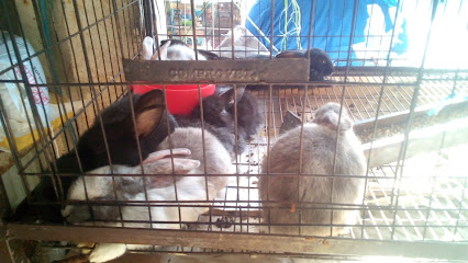 Negocio Veterinaria Richard&Apos;S