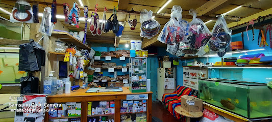 Veterinaria San Sebastian
