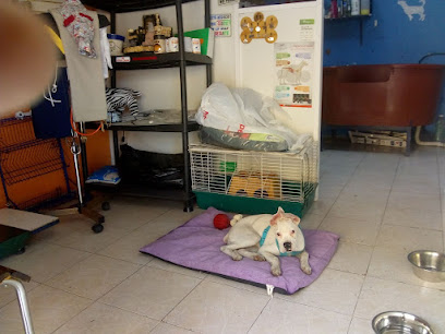 Veterinaria Servicios Kaninos