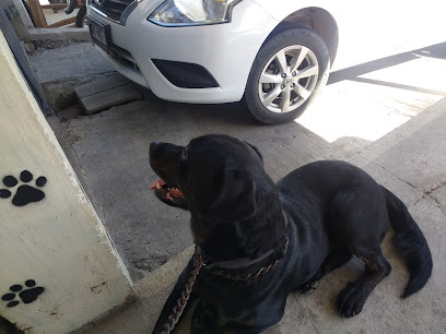 Veterinaria Sinaloa