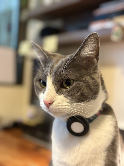 Veterinaria Skamp