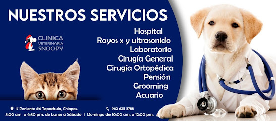 Negocio Veterinaria Snoopy