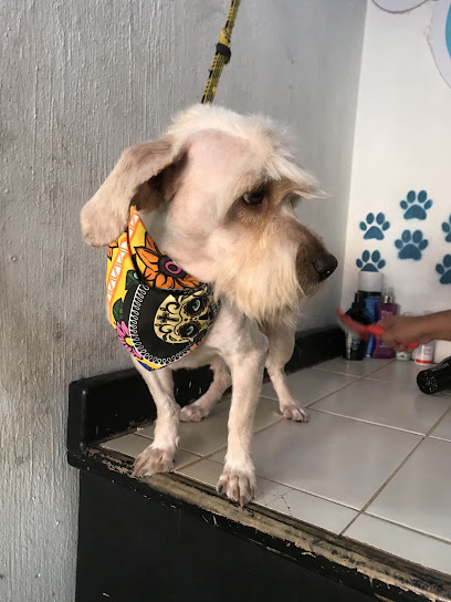 Negocio Veterinaria Spa Huellitas