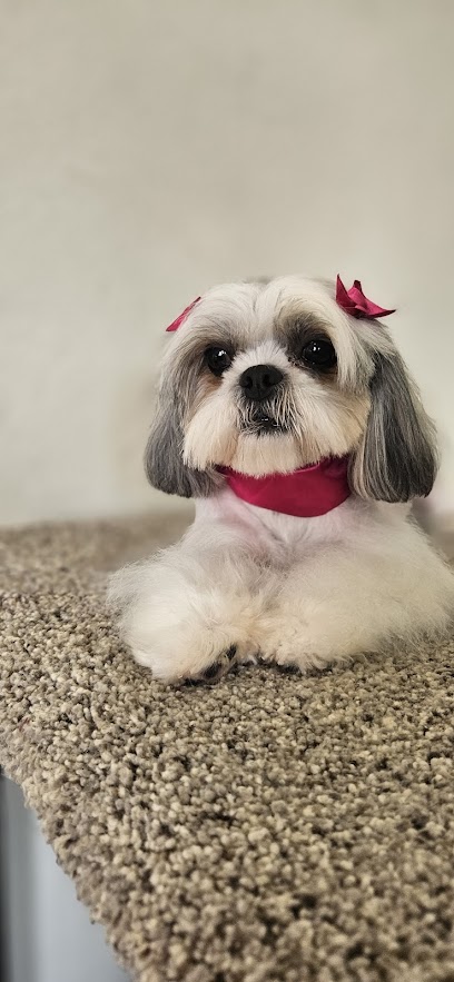 Negocio Veterinaria Teresa Y Estética Canina Wuuapisimos