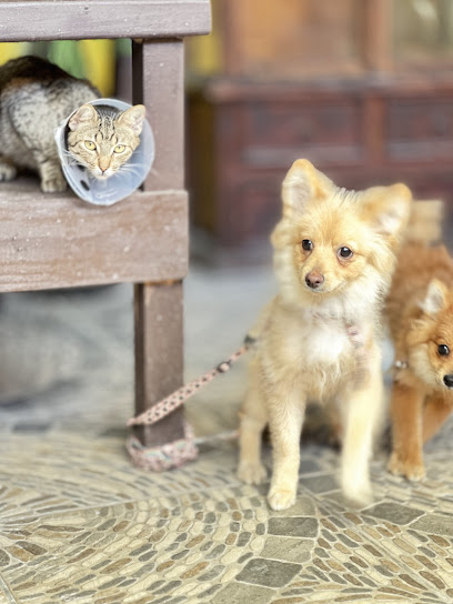 VeterinarĂa UrzĂșa