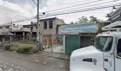 Veterinaria Y Estetica Canina