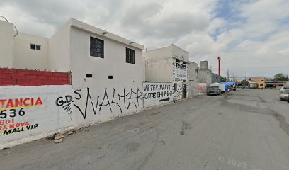 Veterinaria Y Estetica Canina
