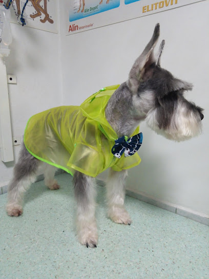 Veterinaria Y Estética Canina Amigos Peludos