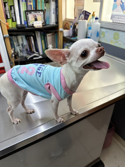 Negocio Veterinaria Y Estética Canina Aqua Vet