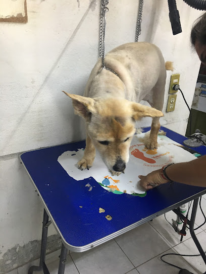 Veterinaria Y Estética Canina Canito