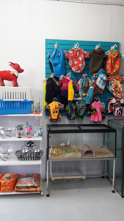 Negocio Veterinaria Y Estética Canina Fashion Pet&Apos;S
