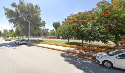Negocio Veterinaria Y Estética Canina Laguna Pet´s