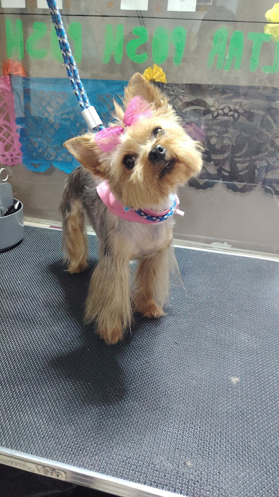 Veterinaria Y Estética Canina Posh Posh Pets
