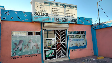 Veterinaria Y Estética Canina Profesional