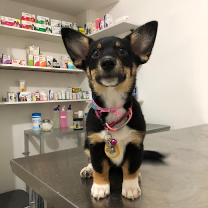 Negocio Veterinaria Y Estética Canina &Quot;Animal Soul”