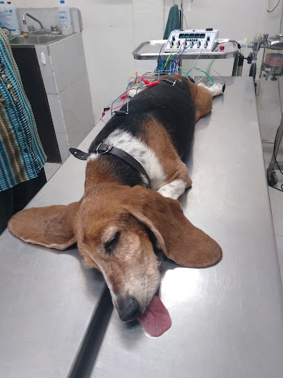 Veterinaria Y Estetica Canina &Quot;Chicorita&Quot;