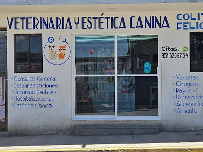 Negocio Veterinaria Y Estética Canina &Quot;Colitas Felices&Quot;