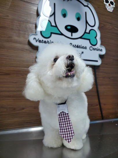 Negocio Veterinaria Y Estetica Canina &Quot;Dobby&Quot;