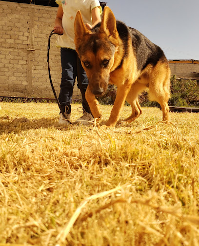 Negocio Veterinaria Y Estetica Canina &Quot;El Buitre&Quot;