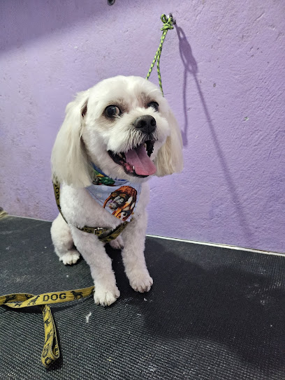 Veterinaria Y Estética Canina &Quot;Gua-Guan. Co&Quot;