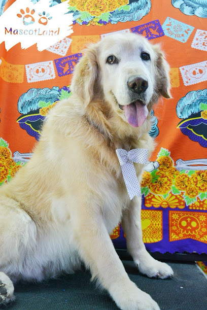 Veterinaria Y Estética Canina &Quot;Mascotland&Quot;