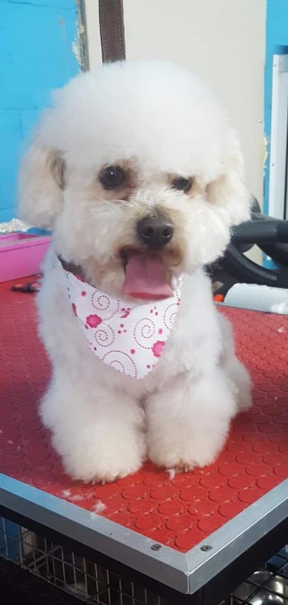 Veterinaria Y Estética Canina &Quot;Perros, Gatos Y Algo Más...&Quot;