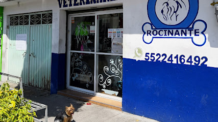 Veterinaria Y Estética Canina &Quot;Rocinante Vet&Quot;