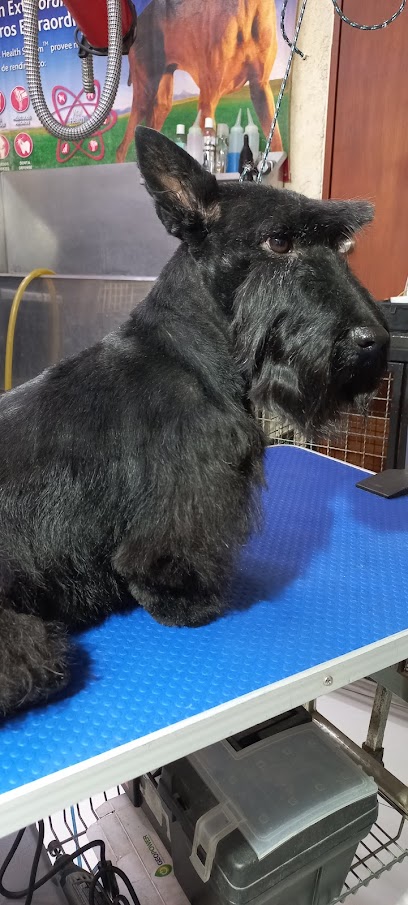 Veterinaria Y Estetica Canina &Quot;Zudoggu&Quot;