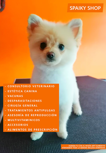 Negocio Veterinaria Y Estética Canina Spaiky Shop