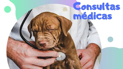 Veterinaria Y Estética Canina Todo-Kan Coruña