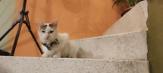 Negocio Veterinaria Y Estética Canina