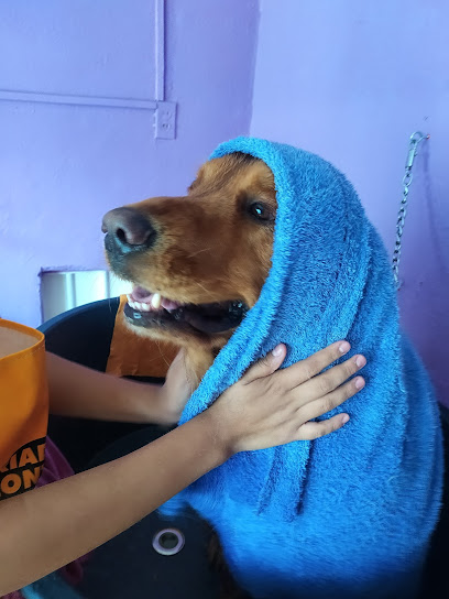 Veterinaria Y Estética Huellitas En La Luna