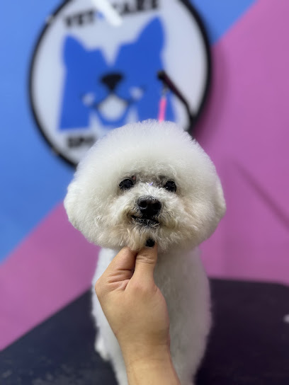 Veterinaria Y Estética Mascotas Inc